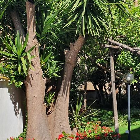 Maria Maddalena Holiday House Vico Equense Bagian luar foto